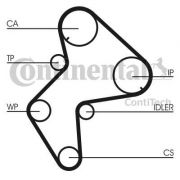 Слика 2 на Комплет ребрест ремен CONTINENTAL CT772K1