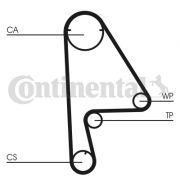 Слика 2 $на Комплет ребрест ремен CONTINENTAL CT862K1