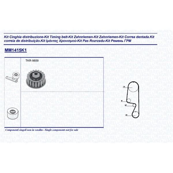 Слика на Комплет ребрест ремен MAGNETI MARELLI 341314151101 за Seat Ibiza (021A) 1.2 - 60 коњи бензин