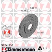Слика 1 на кочионен диск ZIMMERMANN SPORT BRAKE DISC COAT Z 100.1233.52