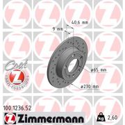 Слика 1 на кочионен диск ZIMMERMANN SPORT BRAKE DISC COAT Z 100.1236.52