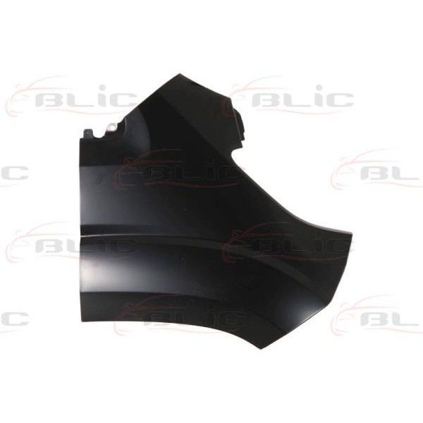 Слика на крило BLIC 6504-04-2098312P за Fiat Ducato Platform 250 160 Multijet 3,0 D - 158 коњи дизел