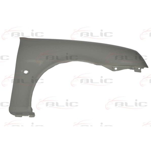 Слика на крило BLIC 6504-04-2563314P за Ford Fiesta 4 (ja,jb) 1.8 D - 60 коњи дизел