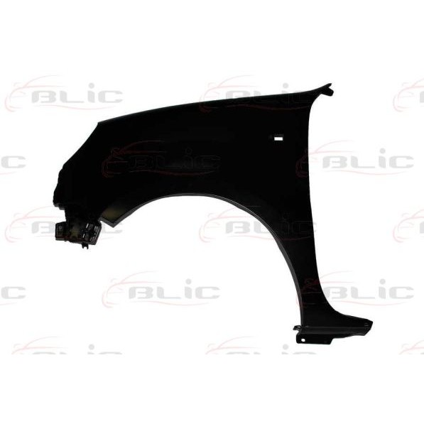 Слика на крило BLIC 6504-04-6010313P за Nissan Kubistar Box 1.5 dCi 70 - 68 коњи дизел