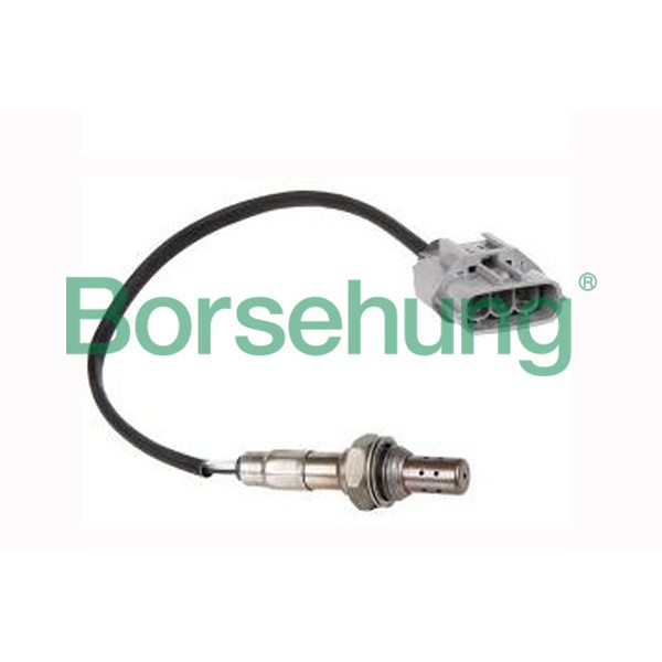 Слика на ламбда сонда Borsehung B16928 за VW EOS (1F7,1F8) 2.0 FSI - 150 коњи бензин