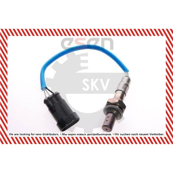 Слика на ламбда сонда ESEN SKV 09SKV010 за Renault Kangoo Rapid (FC0-1) 1.4 (FC0C, FC0B, FC0H, FC0M) - 75 коњи бензин