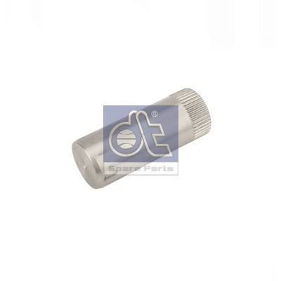 Слика на осовина сопирачка папуча DT Spare Parts 5.21141 за камион DAF F 2800 FAT 2800 DKA - 230 коњи дизел