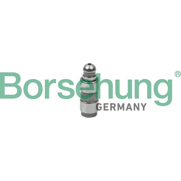 Слика на подигач на вентил Borsehung B18825 за Audi A8 Limousine (4E) S8 - 450 коњи бензин