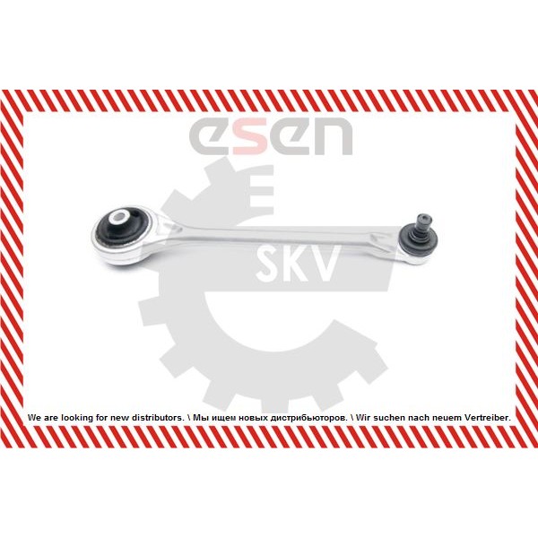 Слика на Раме ESEN SKV 04SKV040