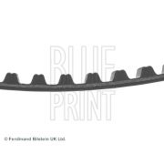 Слика 3 $на Ребрест ремен BLUE PRINT ADT37543