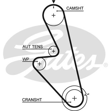 Слика на Ребрест ремен GATES PowerGrip® 5449 за Daewoo Espero Sedan KLEJ 1.8 - 90 коњи бензин