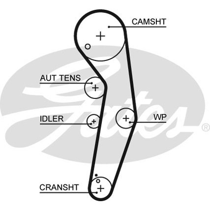 Слика на Ребрест ремен GATES PowerGrip® 5569XS за VW Jetta 3 (1K2) 1.9 TDI - 105 коњи дизел
