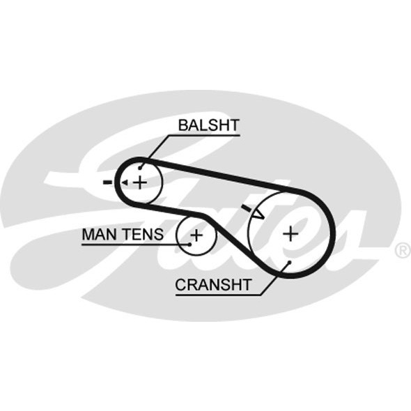 Слика на Ребрест ремен GATES PowerGrip® 5570XS