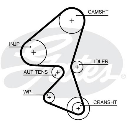 Слика на Ребрест ремен GATES PowerGrip® 5656XS за Citroen C4 Grand Picasso UA 1.6 HDi 110 - 112 коњи дизел