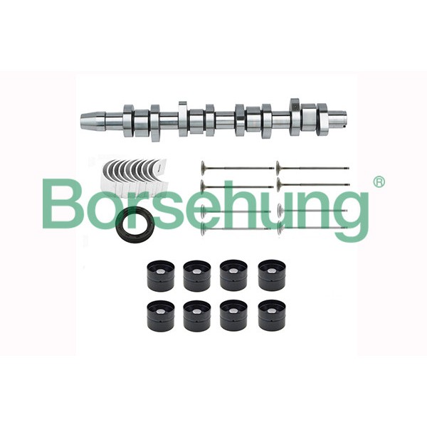 Слика на ремонтен комплект, междинен вал Borsehung B17129 за VW Bora комби (1J6) 2.0 - 115 коњи бензин