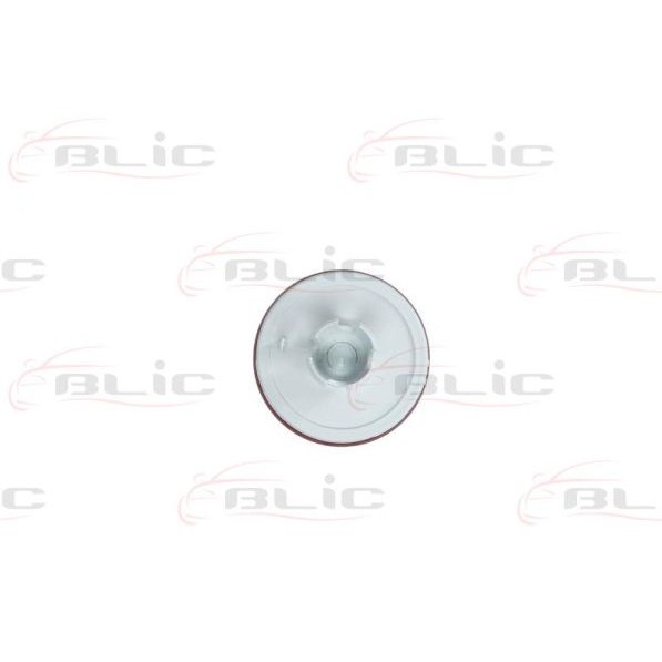 Слика на Рефлектор BLIC 5403-03-033205P за Ford Fiesta 5 (jh,jd) 1.3 - 60 коњи бензин