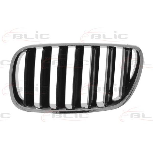 Слика на решетка пред радиатор BLIC 6502-07-00939910P за BMW X3 E83 xDrive 30 d - 218 коњи дизел