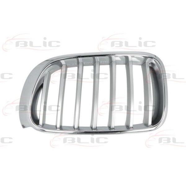 Слика на решетка пред радиатор BLIC 6502-07-00939955P за BMW X3 F25 sDrive 20 i - 184 коњи бензин