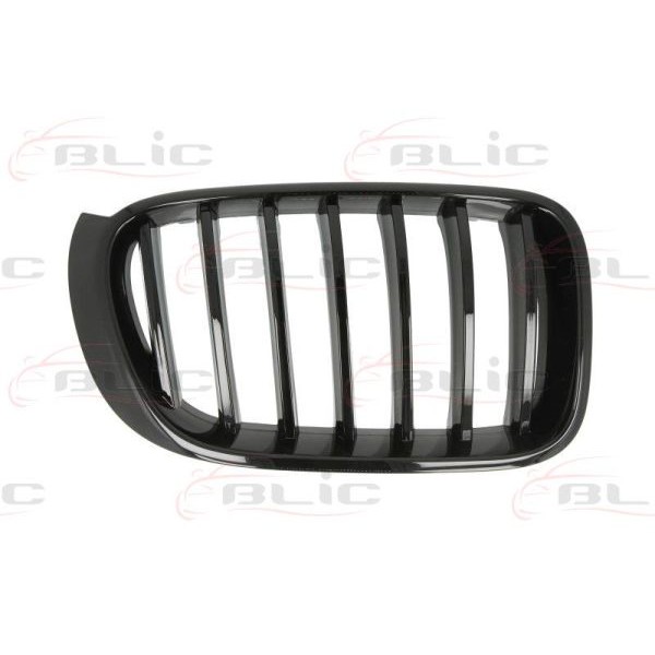 Слика на решетка пред радиатор BLIC 6502-07-00939988P за BMW X3 F25 xDrive 28 i - 258 коњи бензин