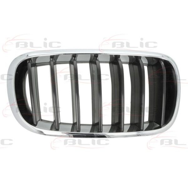 Слика на решетка пред радиатор BLIC 6502-07-00969922P за BMW X6 F16 M 50 d - 381 коњи дизел