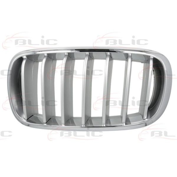 Слика на решетка пред радиатор BLIC 6502-07-00969955P за BMW X6 F16 M 50 d - 381 коњи дизел