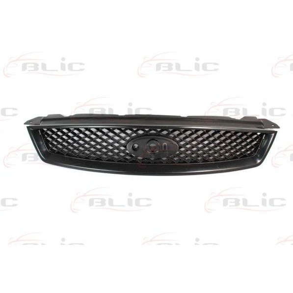 Слика на решетка пред радиатор BLIC 6502-07-2533990P за Ford Focus 2 Estate (daw) 1.8 - 125 коњи бензин