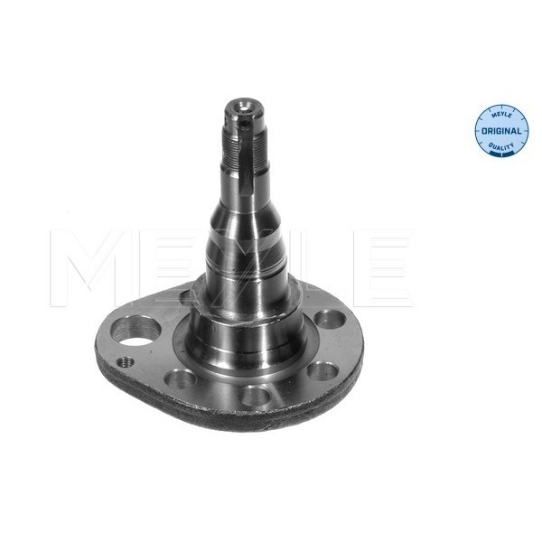 Слика на рукавец MEYLE ORIGINAL Quality 100 501 0036 за Seat Arosa (6H) 1.4 16V - 100 коњи бензин