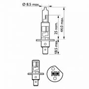 Слика 3 на сијалица за фарови и халогенки PHILIPS LongLife EcoVision 12258LLECOB1