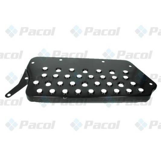 Слика на степенка PACOL MAN-FS-002R за камион MAN F 2000 19.364 FS, FLS, FLLS, FRS, FLRS, FLLRS - 360 коњи дизел