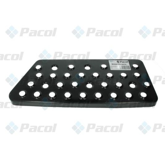 Слика на степенка PACOL MAN-FS-003L за камион MAN F 2000 19.343 FC,19.343 FLC,19.343 FLLC - 340 коњи дизел