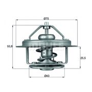 Слика 1 на Термостат BEHR TX 16 79