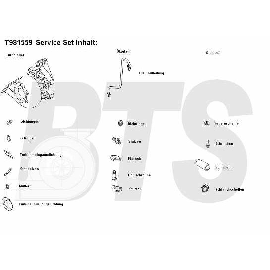 Слика на Турбина, полнење со воздух BTS Turbo TURBO SERVICE SET ORIGINAL T981559