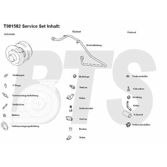 Слика на турбина, полнење со воздух BTS Turbo TURBO SERVICE SET ORIGINAL T981582 за камион Neoplan Centroliner N 4416 - 260 коњи дизел