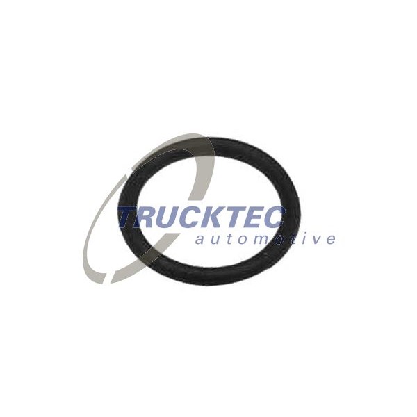 Слика на уплътнение, пръчка за мерене нивото на маслото TRUCKTEC AUTOMOTIVE 08.10.096 за BMW 3 Sedan/Coupe (E21) 315 - 75 коњи бензин