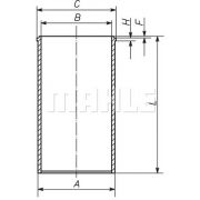 Слика 1 $на Хилзна за цилиндар MAHLE 007 WV 43 00