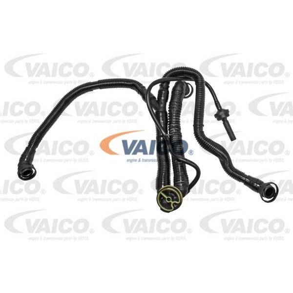 Слика на црево за гасови од картер VAICO Original  Quality V10-3505 за Audi A6 Allroad (4FH, C6) 3.2 FSI quattro - 255 коњи бензин