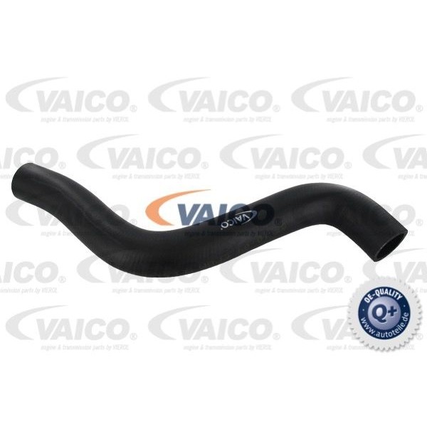 Слика на црево на ладник VAICO Q+ V10-0060 за Seat Ibiza 2 (6K) 1.9 D - 68 коњи дизел