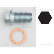 Слика 1 на штраф тапа, картер за масло TRISCAN 9500 1012