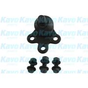 Слика 1 $на Јабучица KAVO PARTS SBJ-1012