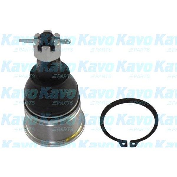 Слика на Јабучица KAVO PARTS SBJ-2024