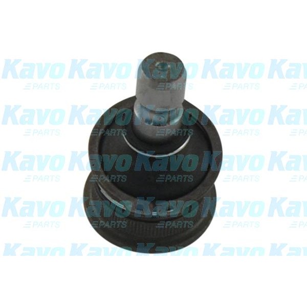 Слика на Јабучица KAVO PARTS SBJ-4007