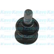 Слика 1 $на Јабучица KAVO PARTS SBJ-4007