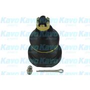 Слика 1 $на Јабучица KAVO PARTS SBJ-4521