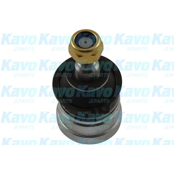 Слика на Јабучица KAVO PARTS SBJ-5501 за Hyundai Ioniq (AE) 1.6 GDI Hybrid - 141 коњи бензин/ електро