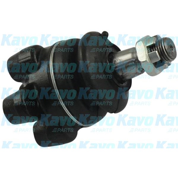 Слика на Јабучица KAVO PARTS SBJ-5503 за Hyundai H 200 BUS (KMF) 2.5 CRDi - 140 коњи дизел