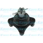 Слика 1 на Јабучица KAVO PARTS SBJ-5516