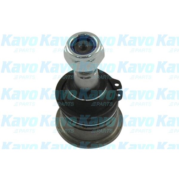 Слика на Јабучица KAVO PARTS SBJ-6508 за Nissan Sunny Hatchback 2000 1.8 - 116 коњи бензин