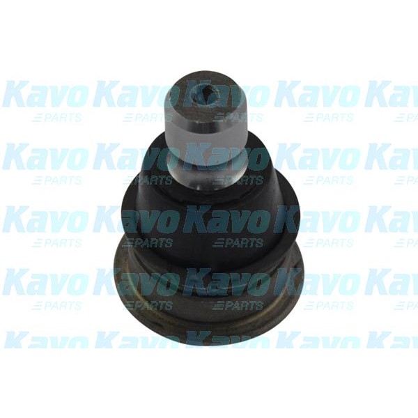 Слика на Јабучица KAVO PARTS SBJ-6537