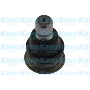 Слика 1 $на Јабучица KAVO PARTS SBJ-6537