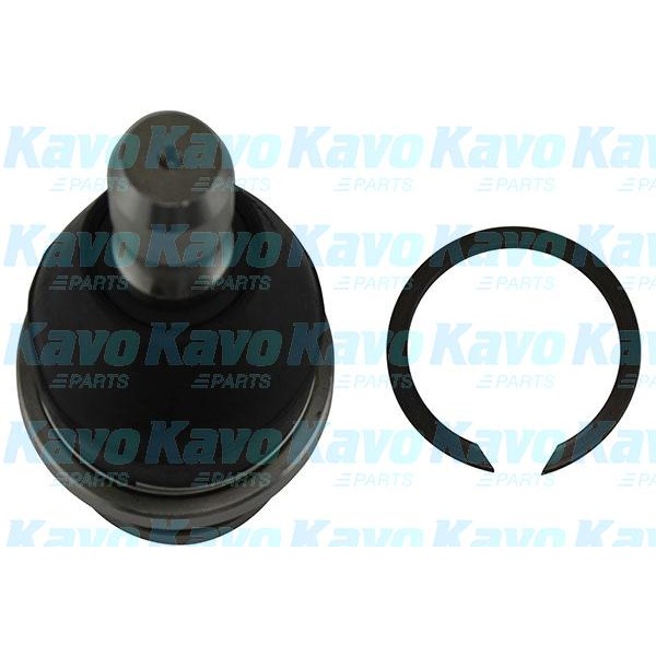 Слика на Јабучица KAVO PARTS SBJ-6550